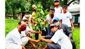 সৈয়দপুর বৃক্ষরোপণ ও দুস্থদের মাঝে খাবার বিতরণ কর্মসূচি