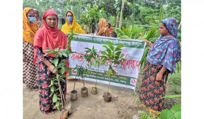 পঞ্চগড়ের বোদা উপজেলায় তিনদিন ব্যাপী ফলজ চারা বিতরণ ও প্রশিক্ষণের আয়োজন