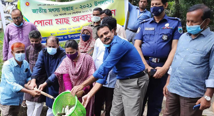 গাবতলী উপজেলা পরিষদ পুকুরে  পোনা মাছ অবমুক্ত করলেন রবিন খাঁন