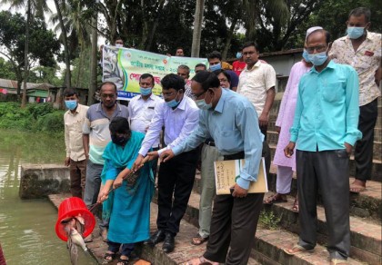 শিবগঞ্জে জাতীয় মৎস্য সপ্তাহ উপলক্ষে মাছের পোনা অবমুক্তকরণ