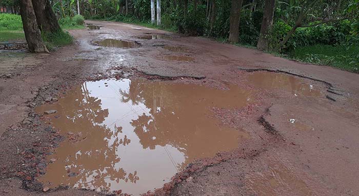 বগুড়া-তরনীরহাট সড়ক এলজিইডি’র অংশ সংস্কারের অনুমোদন হয়েছে