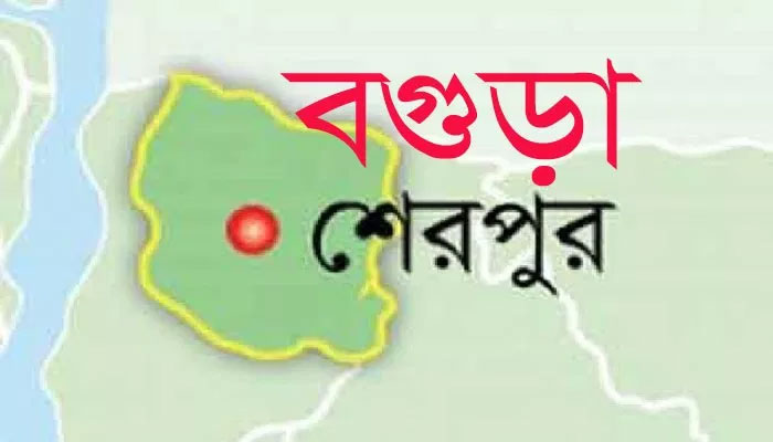 বগুড়ার শেরপুরে বাসের ধাক্কায় অজ্ঞাত নারীর মৃত্যু 