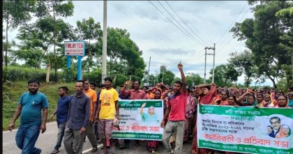 চা শ্রমিকদের সড়ক অবরোধ, ৩ শ টাকা মজুরির দাবিতে ধর্মঘট
