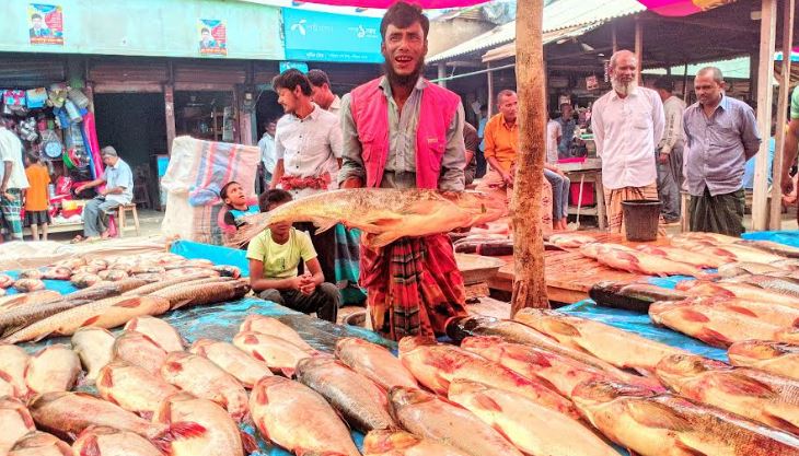 হরেক রকমের মাছের মেলায় নন্দিত নন্দীগ্রাম

