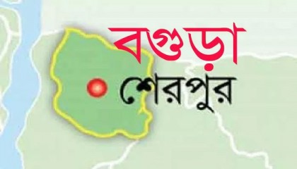 বগুড়ার শেরপুর পন্যবাহী দুই ট্রাকে আগুন
