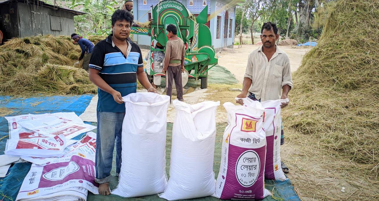 আদমদীঘিতে পুরোদমে চলছে ধান মাড়াই, ব্যস্ত কৃষকরা

