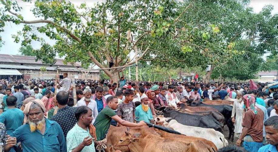 রাণীনগরে পশুরহাটে অতিরিক্ত টোল আদায়ের অভিযোগ
