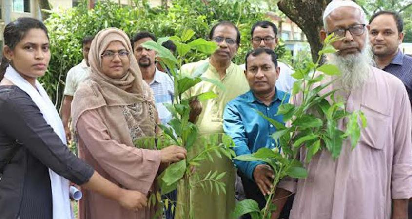 কাহালু উপজেলা প্রশাসনের উদ্যোগে ৫০ হাজার গাছের চারা বিতরণ
