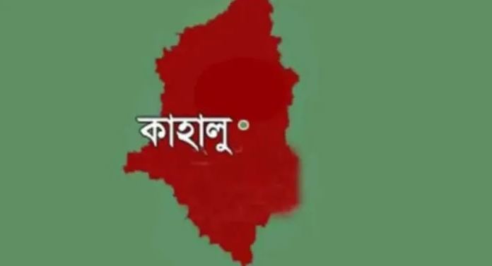 কাহালুতে গরু চুরি করতে গিয়ে গনপিটুনিতে চোরের মৃত্যু
