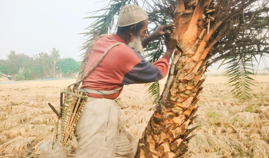 খেজুর রস সংগ্রহে ব্যস্ত নন্দীগ্রামের গাছিরা

